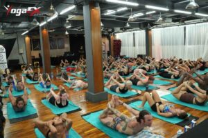 Yoga teacher training candidate reviewing certification requirements and course materials