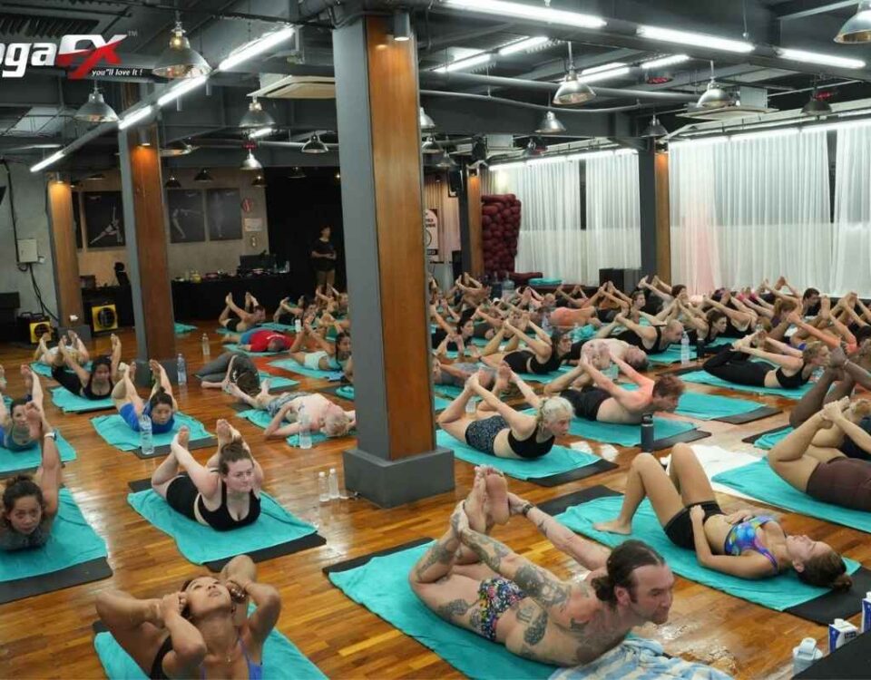 Yoga teacher training candidate reviewing certification requirements and course materials