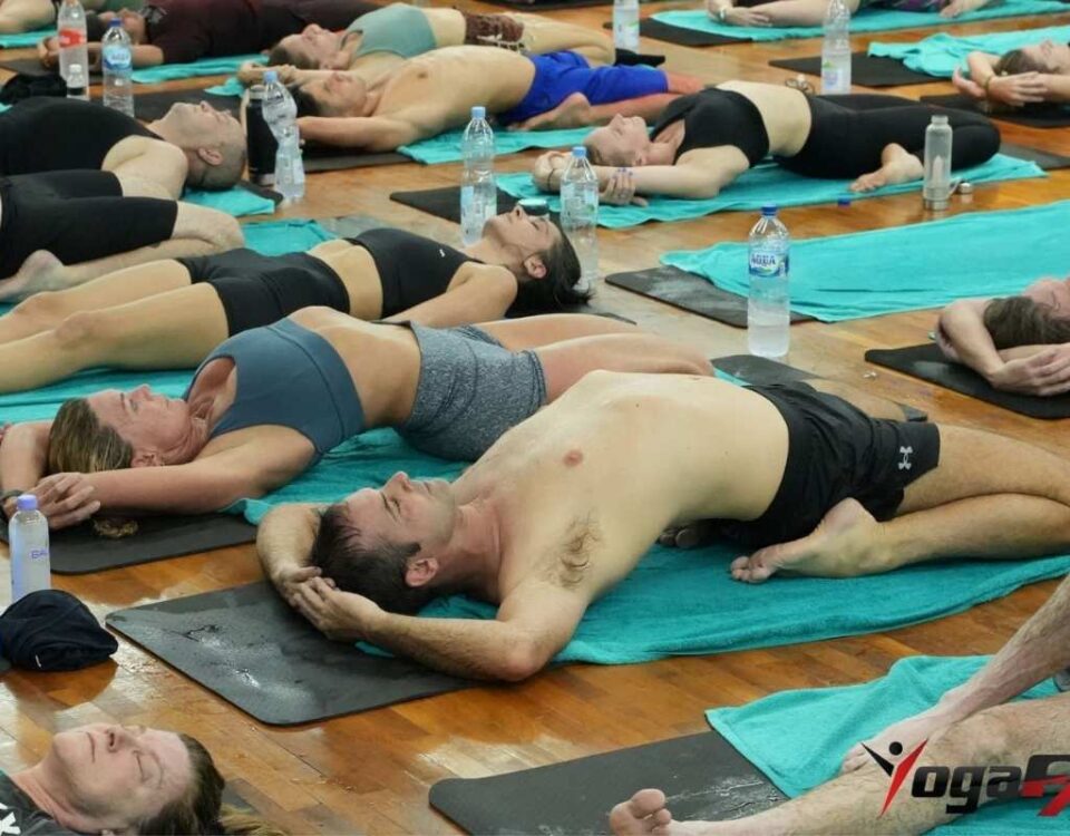 Silhouette of a yoga instructor practising, representing the advanced teaching experience an RYT 500 credential recognises