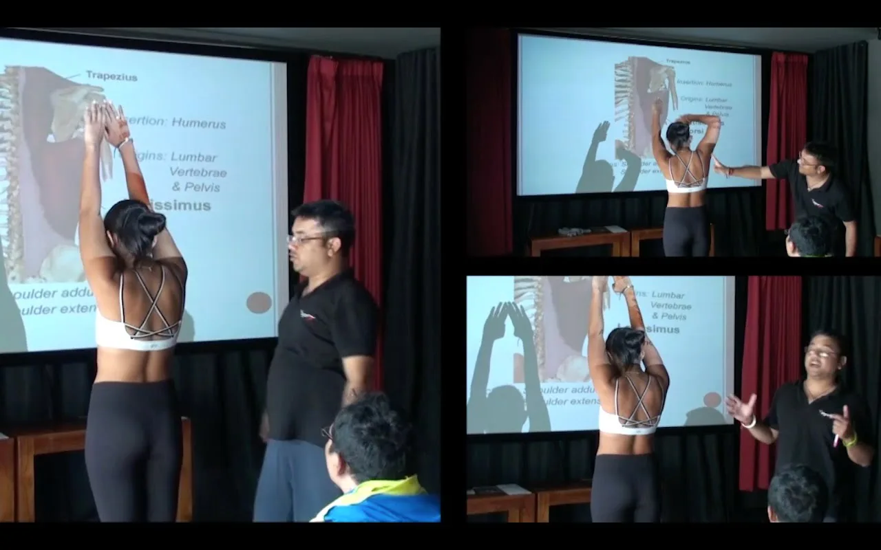 Hot yoga men vs women side by side: men and women holding the same standing posture in a heated class